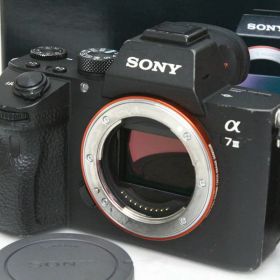 【中古】【並品】ソニー α7 III ILCE-7M3 ボディ（センサー清掃済み） CA01-R2865-2S3 SONY Eマウント フルサイズ 5軸手ブレ補正 EVF 中古
