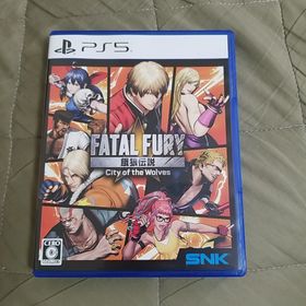 エスエヌケイ(SNK)の餓狼伝説 City of the Wolves SPECIAL EDITION(家庭用ゲームソフト)