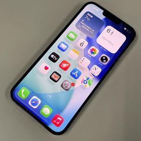 ★利用制限〇★ iPhone 13 Pro Max 256GB グラファイト SIMロック解除済