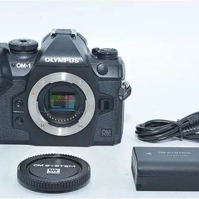 694★良品・ショット数28046回★OM SYSTEM/オリンパス OM-1 ボディー ブラック