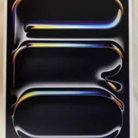 【apple care加入済 残約２年】iPadPro 13インチ 2TB M4