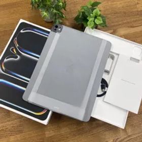 iPad Pro 13 inch M4 1TB