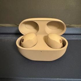 SONY ソニー ワイヤレスイヤホン WF-1000XM5