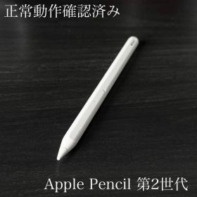 正常動作確認済み Apple Pencil 第2世代 MU8F2J/A ss4