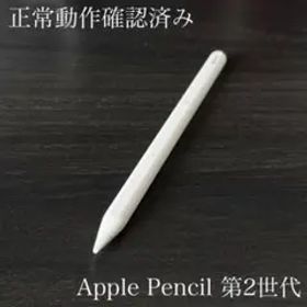 正常動作確認済み Apple Pencil 第2世代 MU8F2J/A s8