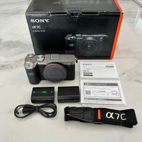 【ショット数9000枚台】SONY α7Cボディ