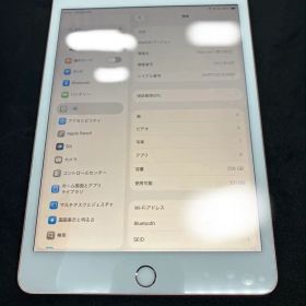 iPad mini5 Wi-Fi 256GB