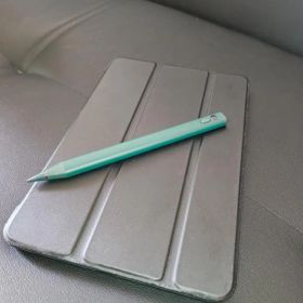 iPad mini 5 256GB Cellular スペースグレイ 本体のみ