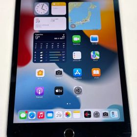 apple iPad mini(第5世代) 256GB スペースグレ