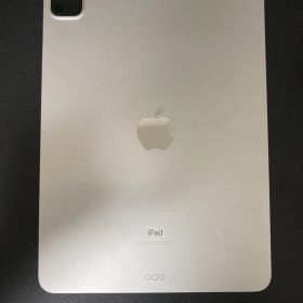iPad Pro 11 第二世代256GBシルバー【ジャンク•ロック解除済】