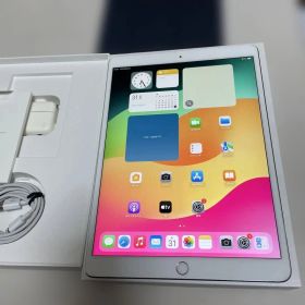 Apple iPad Pro 10.5インチ 256GB sim フリー