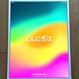 iPad Pro 10.5 256GB SIMフリー ローズゴールド