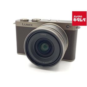 【中古】 【美品】 パナソニック LUMIX DC-S9N-N ZLK 広角ズームレンズキット チタンゴールド