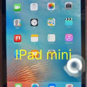 Apple iPad mini タブレット 本体