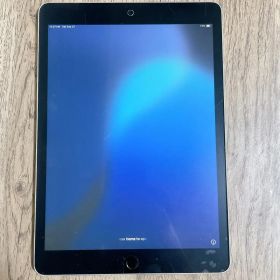 iPad 第9世代 A2602 256GB Wi-Fi バッテリー94%