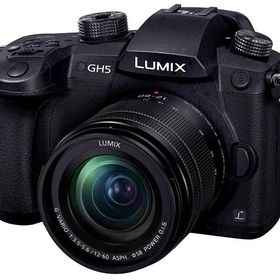【中古】パナソニック(Panasonic) ミラーレス一眼カメラ ルミックス GH5 レンズキット 標準ズームレンズ付属 ブラック DC-GH5M-K