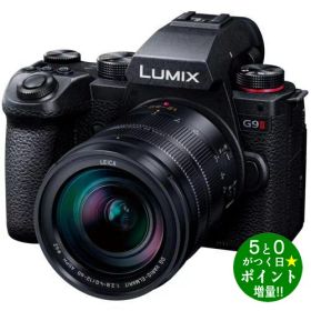 ◆最大3000円CP＋P3倍！！2/5◆パナソニック カメラ ミラーレス一眼カメラ 標準ズームレンズキット LUMIX Gシリーズ DC-G9M2 Panasonic【転送不可】