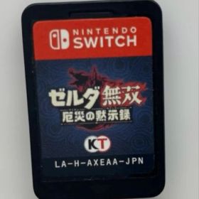 ゼルダ無双 厄災の黙示録 20260130K02S