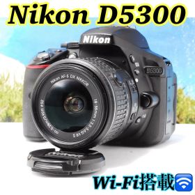 ❤️Nikon D5300❤️ 一眼レフ レンズキット Wi-Fi搭載✨