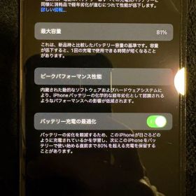 iPhone 12 Pro 最大容量81%
