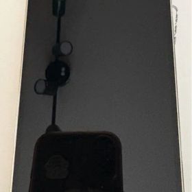 Apple iPhone 12Pro本体