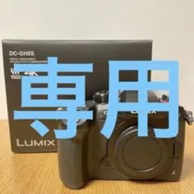 LUMIX DC-GH5S