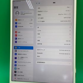 ★激安 iPad Pro 10.5インチ 海外版 Wi-Fi 256GB 最大容量85%