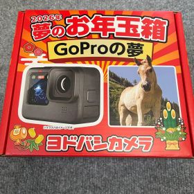 GoProの夢(GoPro HERO13 Black入り)