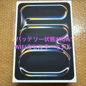 iPad Pro 11インチ(M4)Wi-Fi＋Cellular 256GB