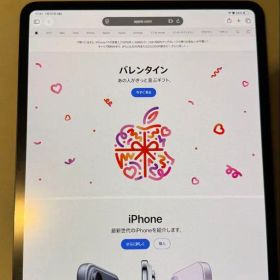 iPad Pro m4 13インチ 256gb