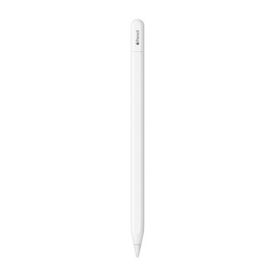 [新品未使用・即納] Apple純正 Apple Pencil (USB-C) アップルペンシル (MUWA3ZA/A) iPad Pro対応 正規品 送料無料 ■