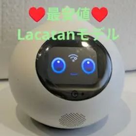 ★山田さん様専用★Romi、Lacatan(ラカタン)モデル