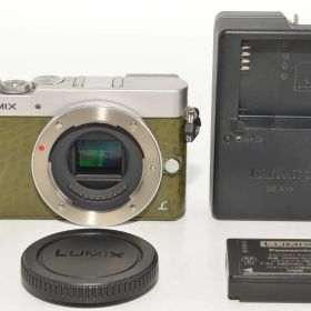 【激レア特上品】 パナソニック Panasonic GM5 ボディ グリーン DMC-GM5-G ＃8896