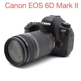 Canon EOS 6D Mark II / Canon EF 75-300mm