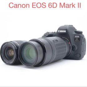 Canon EOS 6D Mark II標準&望遠ダブルレンズセット