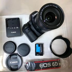 EOS 6D Mark II ＋ EF24-105mm F4L II（保証書有）