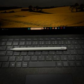 Apple Pencil (USB-C) - Genuine,