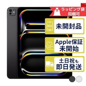 iPad Pro 13インチ M5 1TB APPLE Wi-Fiモデル 新品未開封 本体