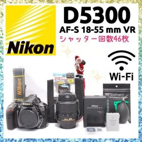 ❤即購入1000円OFF❤ ニコン D5300 シャッター46枚 グレー