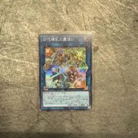 四花繚乱の霊使い シークレット ブレイジングドミニオン