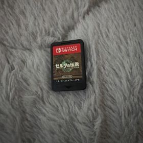 ゼルダの伝説 ティアーズ・オブ・ザ・キングダム