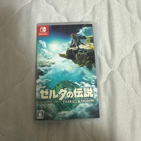 ゼルダの伝説 ティアーズオブザキングダム