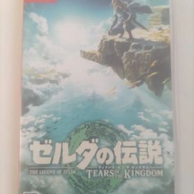 ゼルダの伝説 ティアーズ オブ ザ キングダム Switch