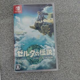 ゼルダの伝説 ティアーズ オブ ザ キングダム