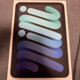 iPad mini(A17 Pro) Wi-Fi+Cellular 128GB