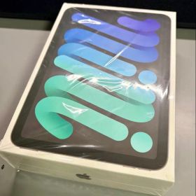 【新品未使用】iPad mini 6 256GB スペースグレー セルラー