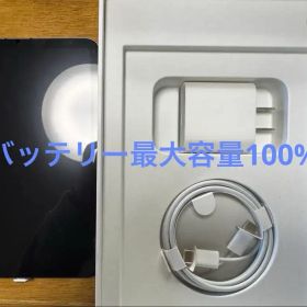 ほぼ未使用 iPad mini (第6世代) Wi-Fi + Cellular