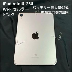 iPad mini6 Wi-Fiセルラー 256