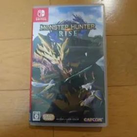 モンスターハンターライズ Nintendo Switch ソフト 動作確認済