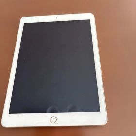 お値下げ Apple iPad 本体 シャンパンゴールド 第五世代 ジャンク品
